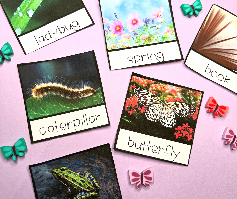 photograph vocabulary cards for writing center